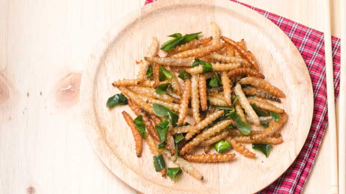 جنوب إفريقيا: عندما تفكر في طعام عيد الميلاد، يخطر ببالك فورًا الديك الرومي لكن الأمر مختلفًا في جنوب إفريقيا، إذ جرت العادة إعداد طبق من الحشرات واليرقات المقلية وتقديمها للأطفال عشية عيد الميلاد.