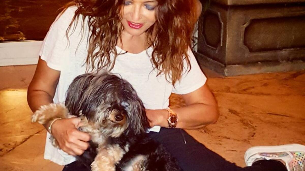 نشرت الفنانة المغربية سميرة سعيد عبر صفحتها الخاصة على احد مواقع التواصل الإجتماعي، صورة لها أثناء تواجدها في منزلها مع كلبها. وعلّقت سعيد على الصورة، قائلة: “وقتي المفضّل مع Bisou “.