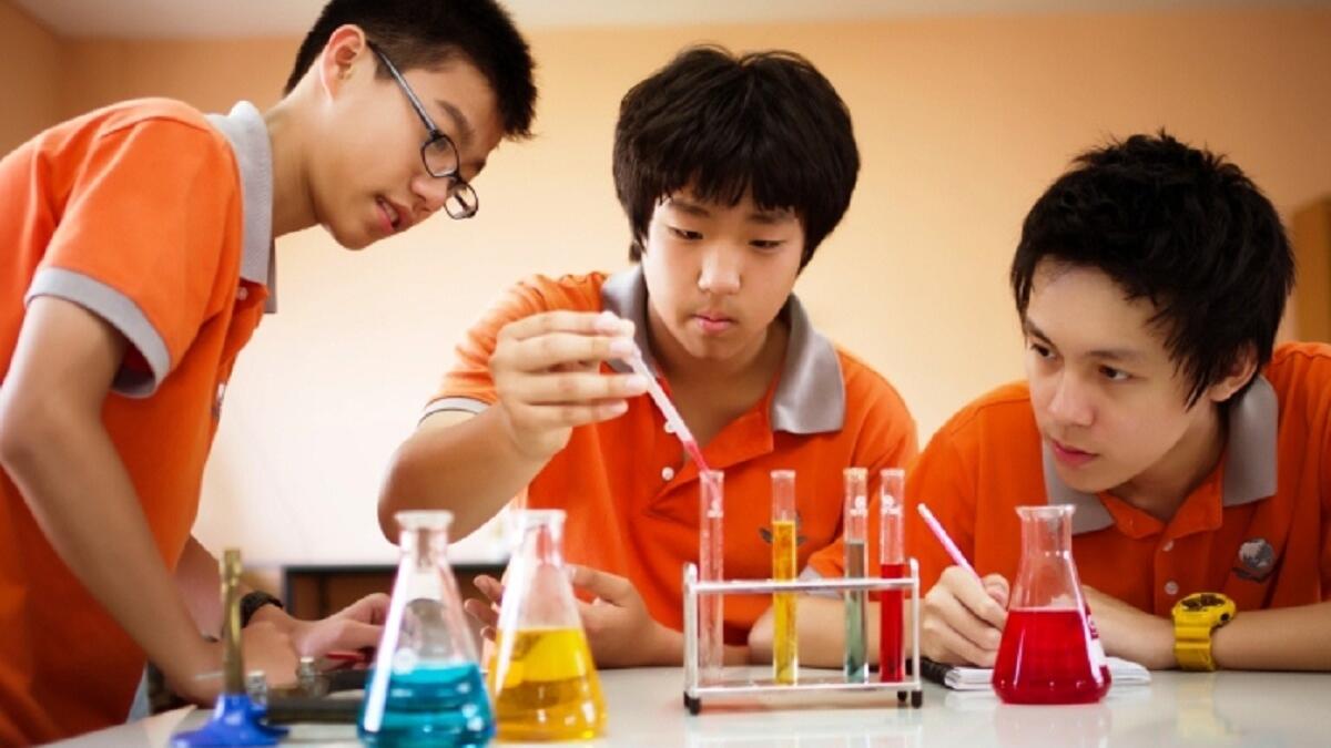 سنغافورة: حققت إنجازات هائلة جعلت منها دولة متقدمة، حيث يعتبر نظام التعليم فيها الأكثر تطوراً في العالم، ومعروف بشدته وصرامته. وتصدرت هذه الجزيرة الصغيرة، العديد من المنافسات العالمية في مجالي الرياضيات والعلوم.