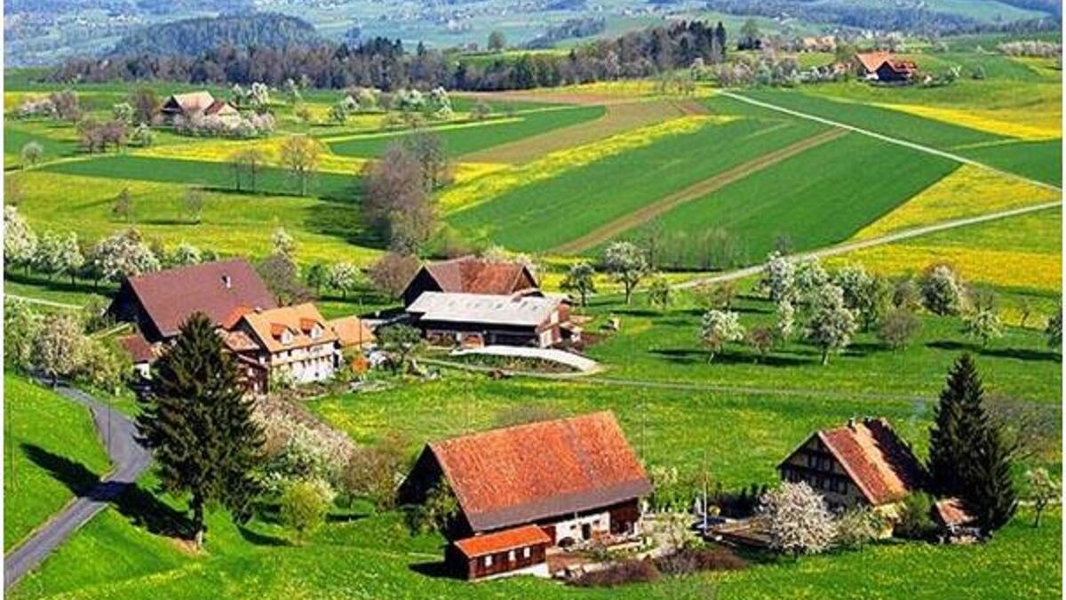 وفي المركز الرابع جاءت نيوزيلندا، وقد احتلت المركز الأول في مؤشر رأس المال الاجتماعي بسبب الروابط الاجتماعية القوية، وتم تصنيفها على أنها أكثر الدول غير الأوروبية ازدهارا.