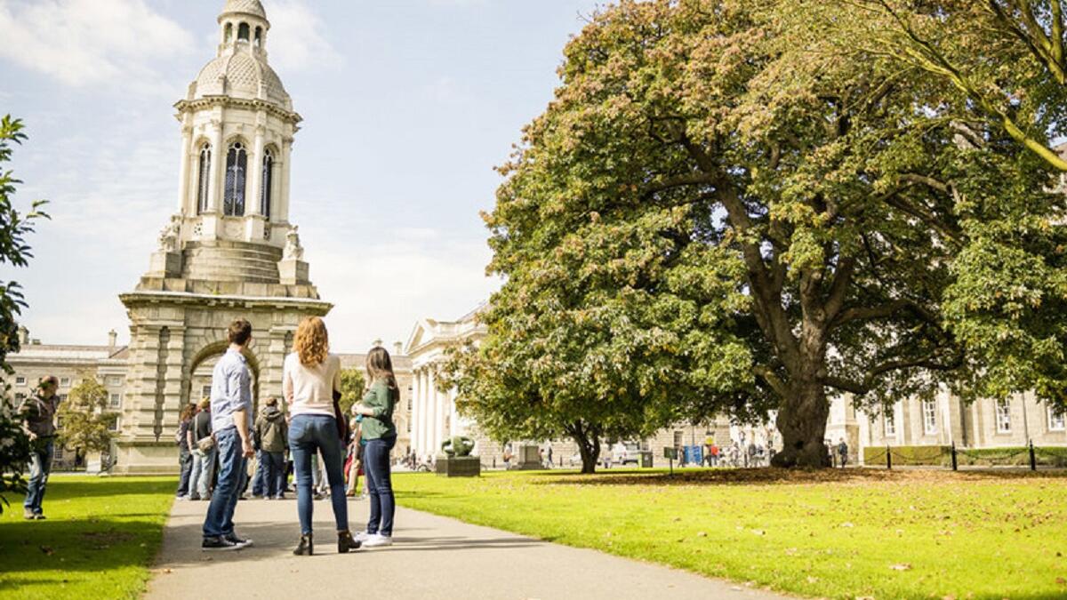 أيرلندا: للحصول على الجنسية الأيرلندية كان لا بد أن تظل في الدولة لمدة 5 سنين على الأقل، أو أن تقوم بالزواج من امرأة ايرلندية الأصل، ولكن في عام 1990 تم تعديل هذا القرار، حيث سمحت الحكومة بمنح الجنسية لرجال الأعمال والمستثمرين