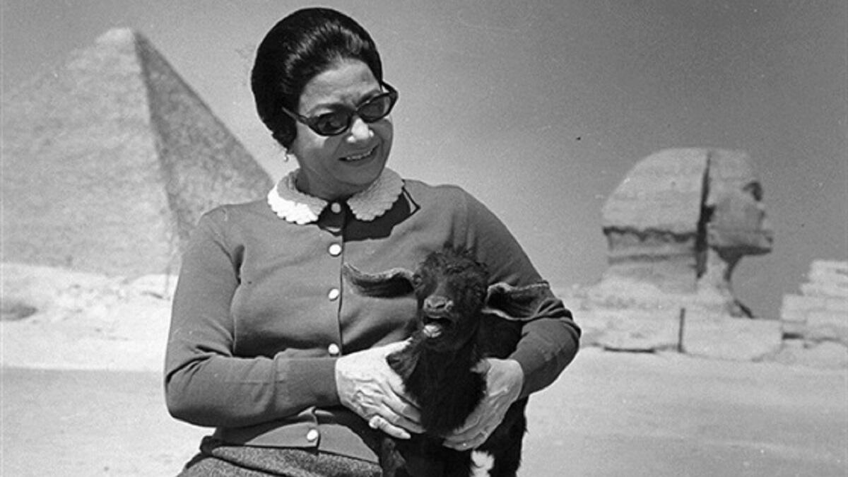 كلب الست: في الخمسينيات عض كلب أم كلثوم أحد المارة وبرأتها النيابة؛ فاعترض أساتذة جامعة الحقوق على قرار النيابة واعتبروه محاباة، فكتب أحمد فؤاد نجم الشاعر سليط اللسان قصيدة "كلب الست".