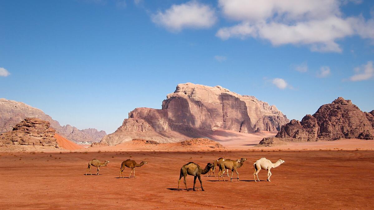 wadi rum