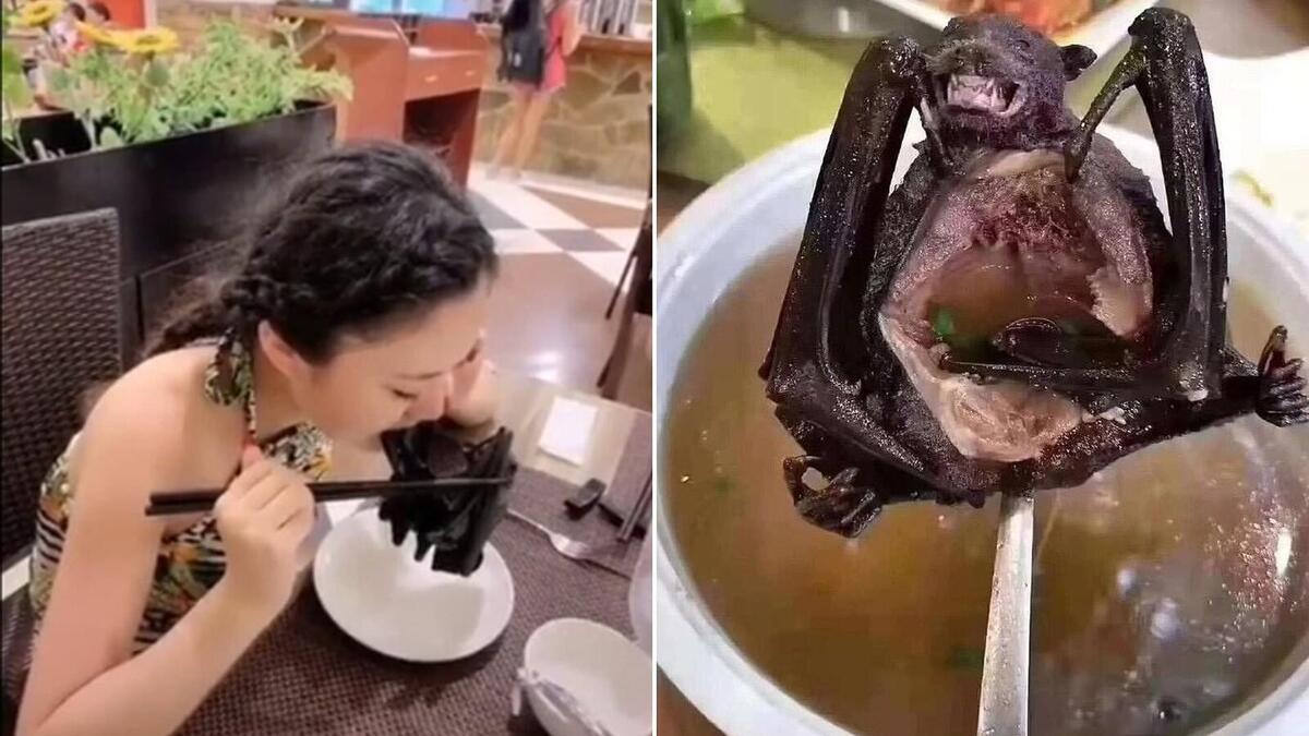 وتنتقل هذه الفيروسات بين البشر عن طريق الجو أو الإفرازات أو ملامسة الأجسام المُلوثة، وخاصة في فصل الشتاء.