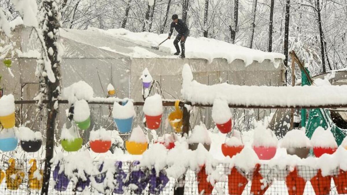 Heavy Snowfall in India Closes Highways and Cancels Flights