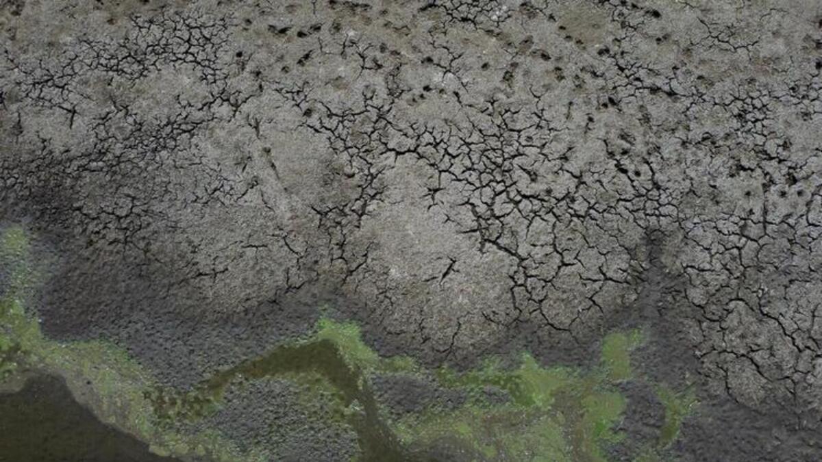 A Day of Awareness, Demonstrations for World Water Day