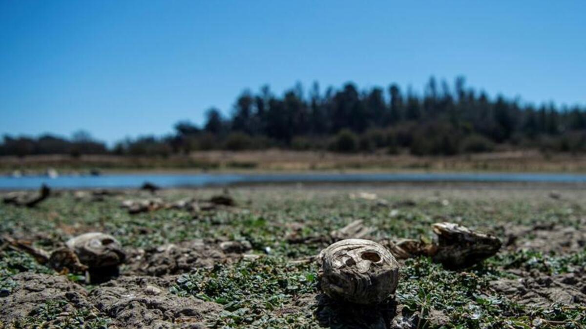 A Day of Awareness, Demonstrations for World Water Day