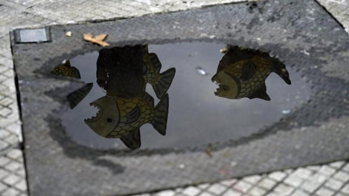 A Day of Awareness, Demonstrations for World Water Day