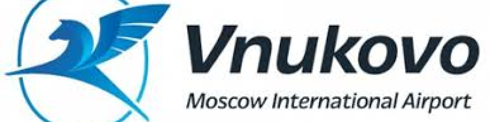 Vnukovo International Airport