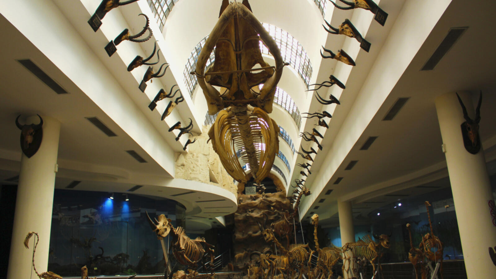 Mesmerising Giza Zoo is Largest Zoological Garden in The World Al Bawaba