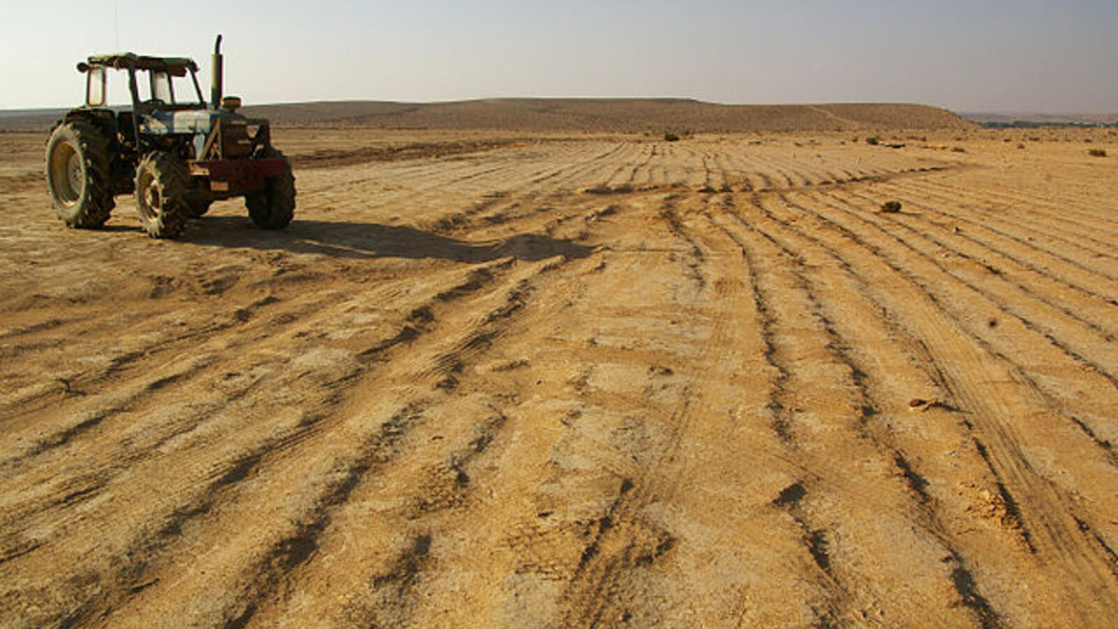 Doing the Impossible Israeli Scientist Brings Agriculture to the
