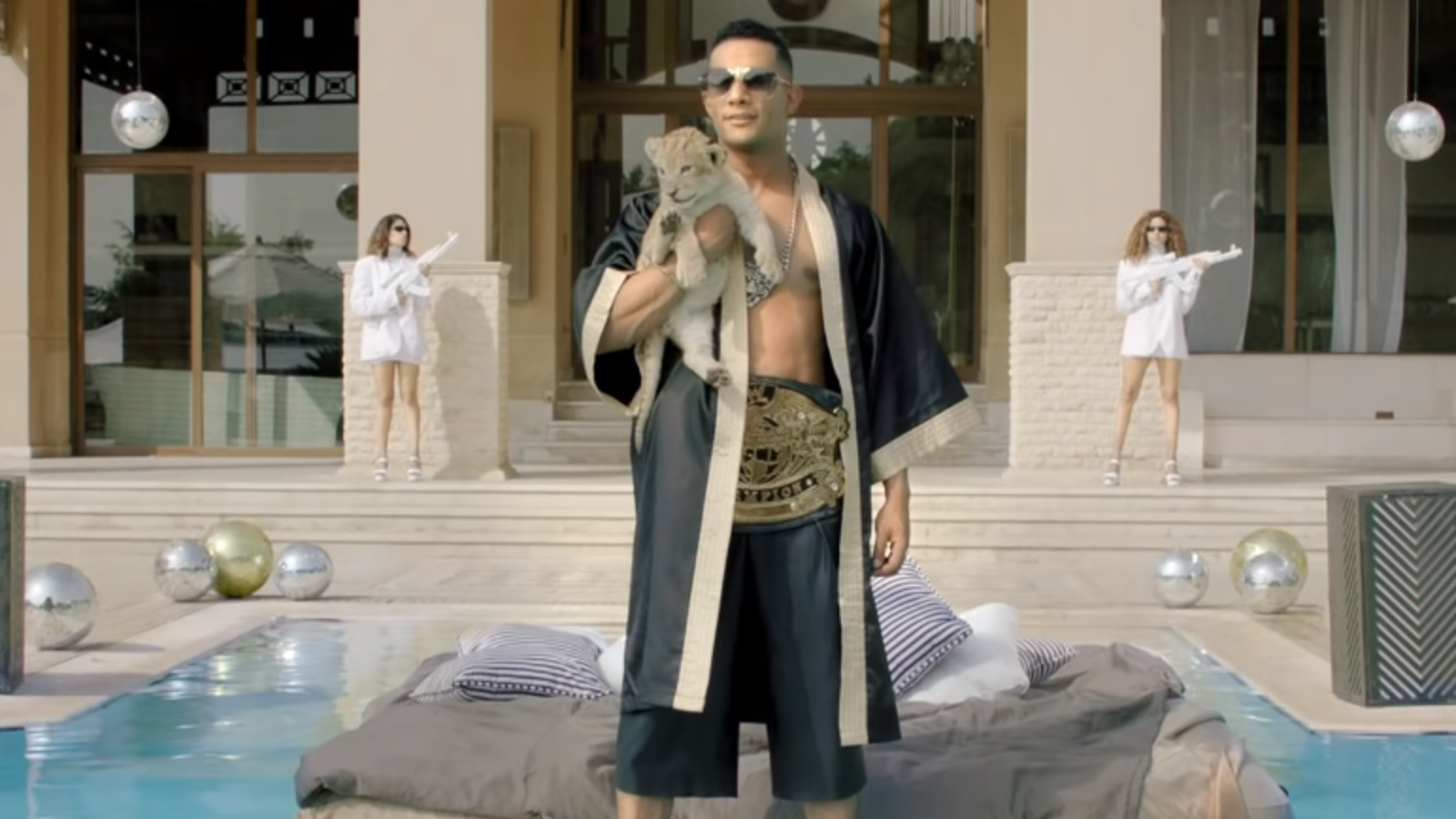 فيديو أنا ملك الغابة شايفك قطة جديد محمد رمضان البوابة