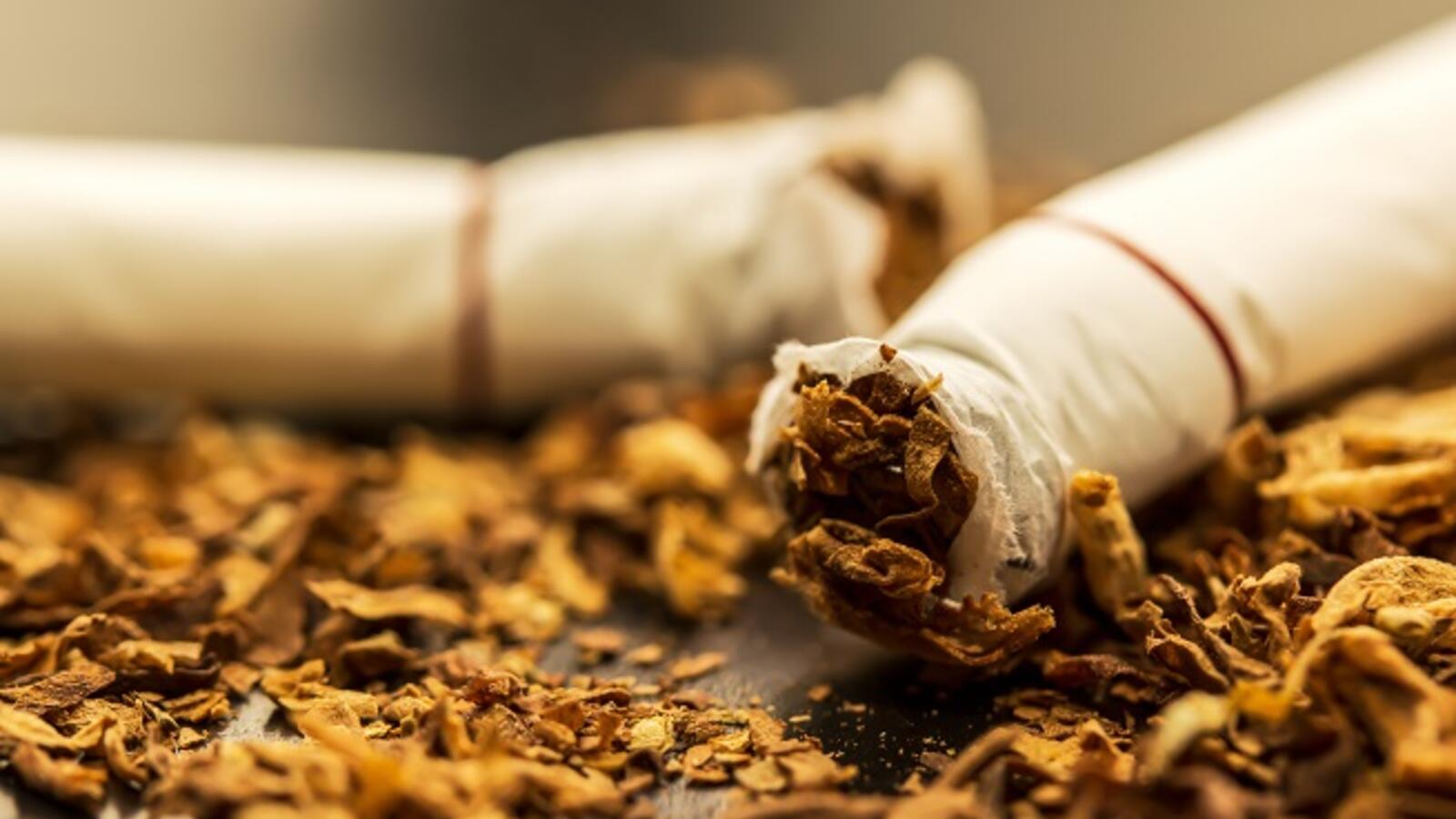 Oman to Double Tax on Tobacco, for Health Reasons Al Bawaba