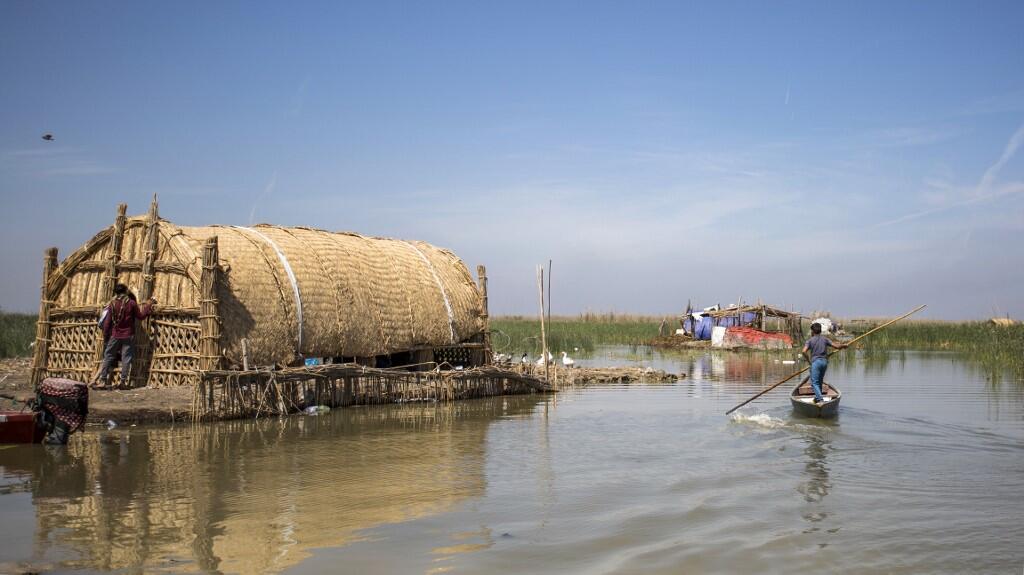 Ecotourists in The Marshes of Iraq Al Bawaba