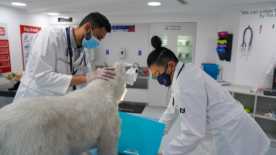 Medical Center Vet