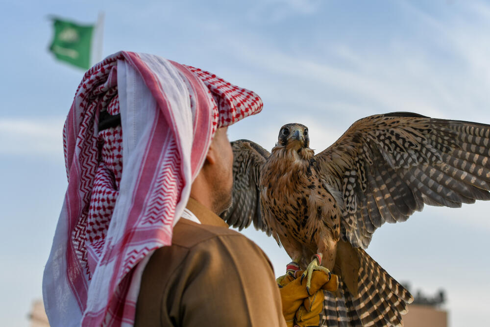 Falconry An Expensive Hobby Going Back to Millennia Al Bawaba
