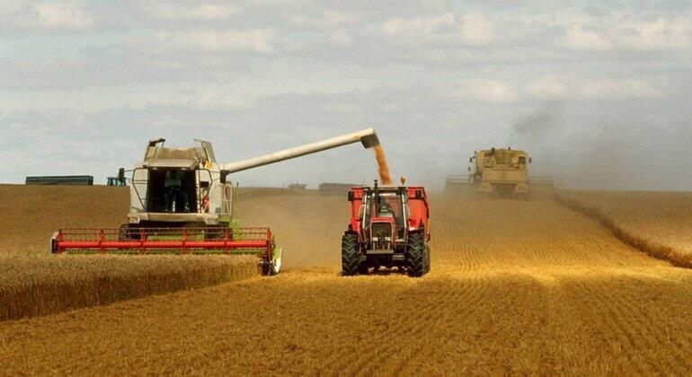 تونس ومعركة إنتاج الحبوب | البوابة