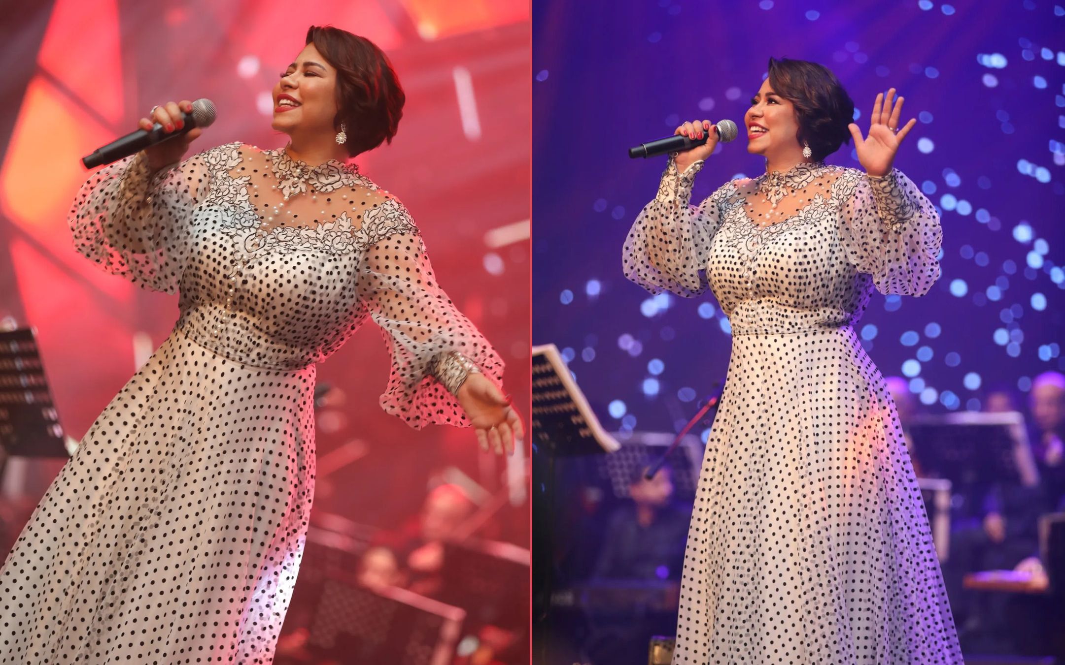 sherine-abdel-wahab-s-emotional-breakdown-on-stage-in-kuwait