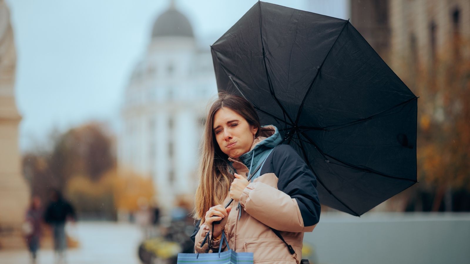 Sorry! Image not available at this time