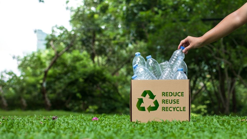 How to reduce waste and make ecofriendly choices during fall 2024 Al