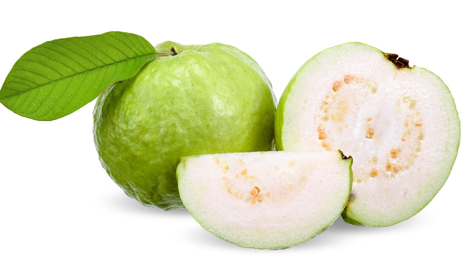 Sorry! Image not available at this time