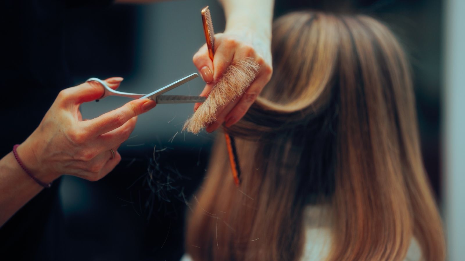 Sorry! Image not available at this time