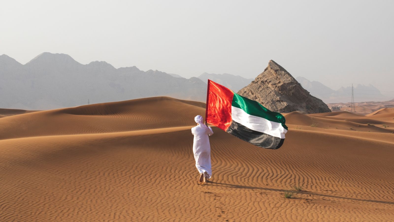 Sorry! Image not available at this time