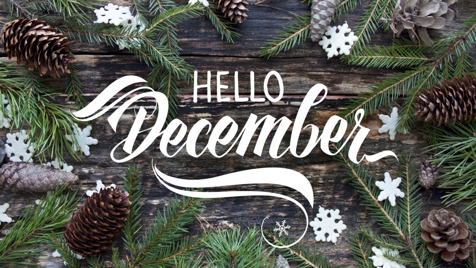 Sorry! Image not available at this time