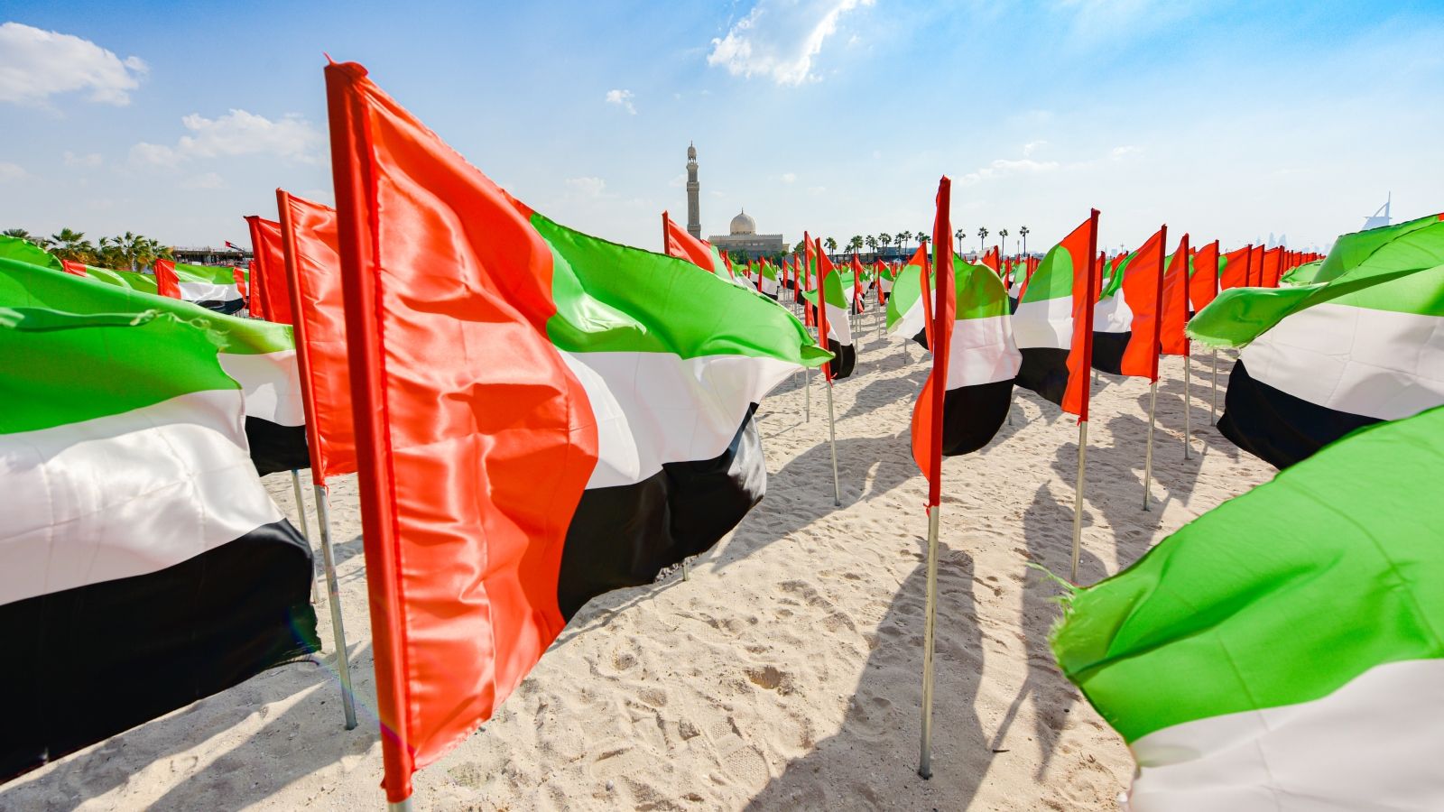 Sorry! Image not available at this time