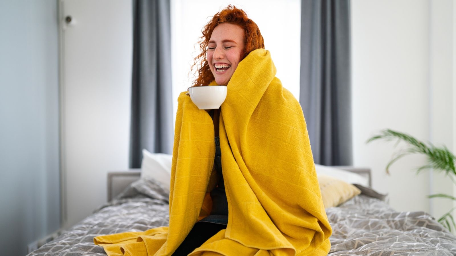 Sorry! Image not available at this time