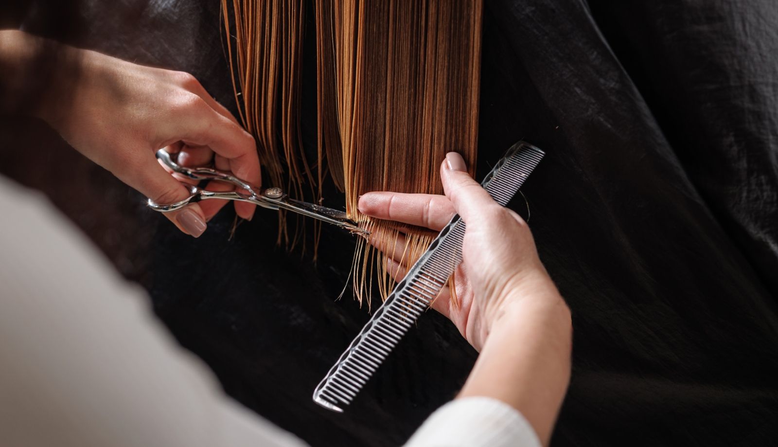 Sorry! Image not available at this time