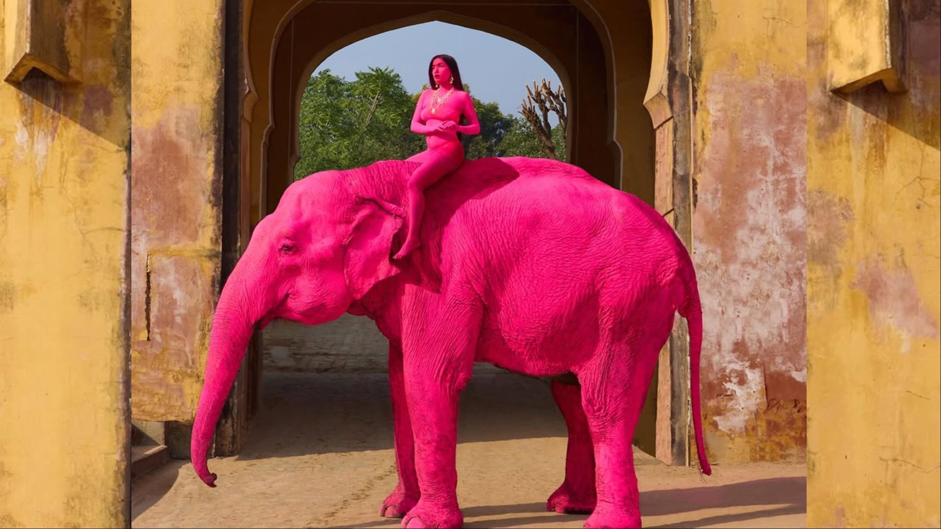 Russian photographer under fire for painting elephant pink
