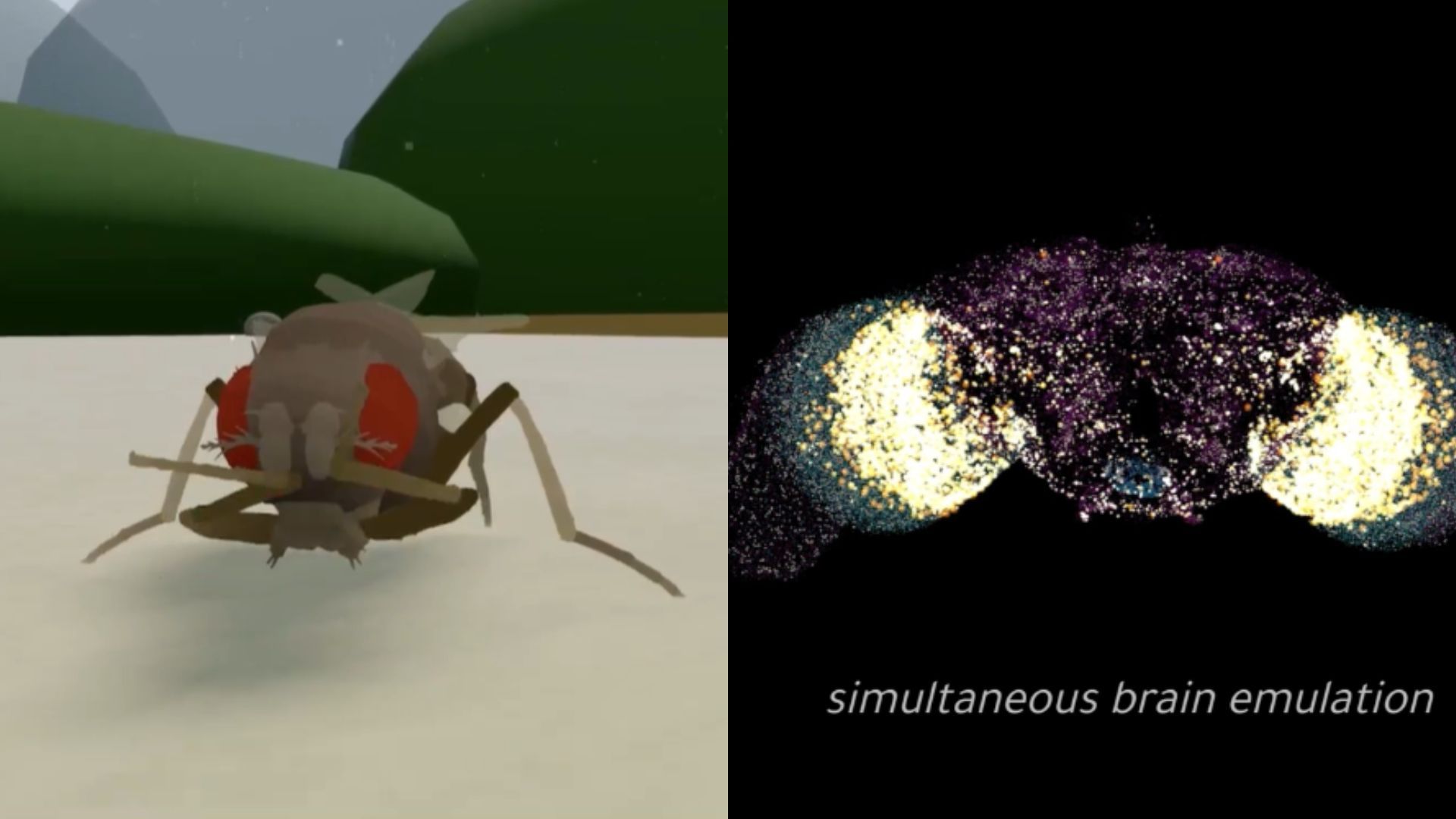 'Humans are next': Scientists upload a fruit fly's brain into a computer