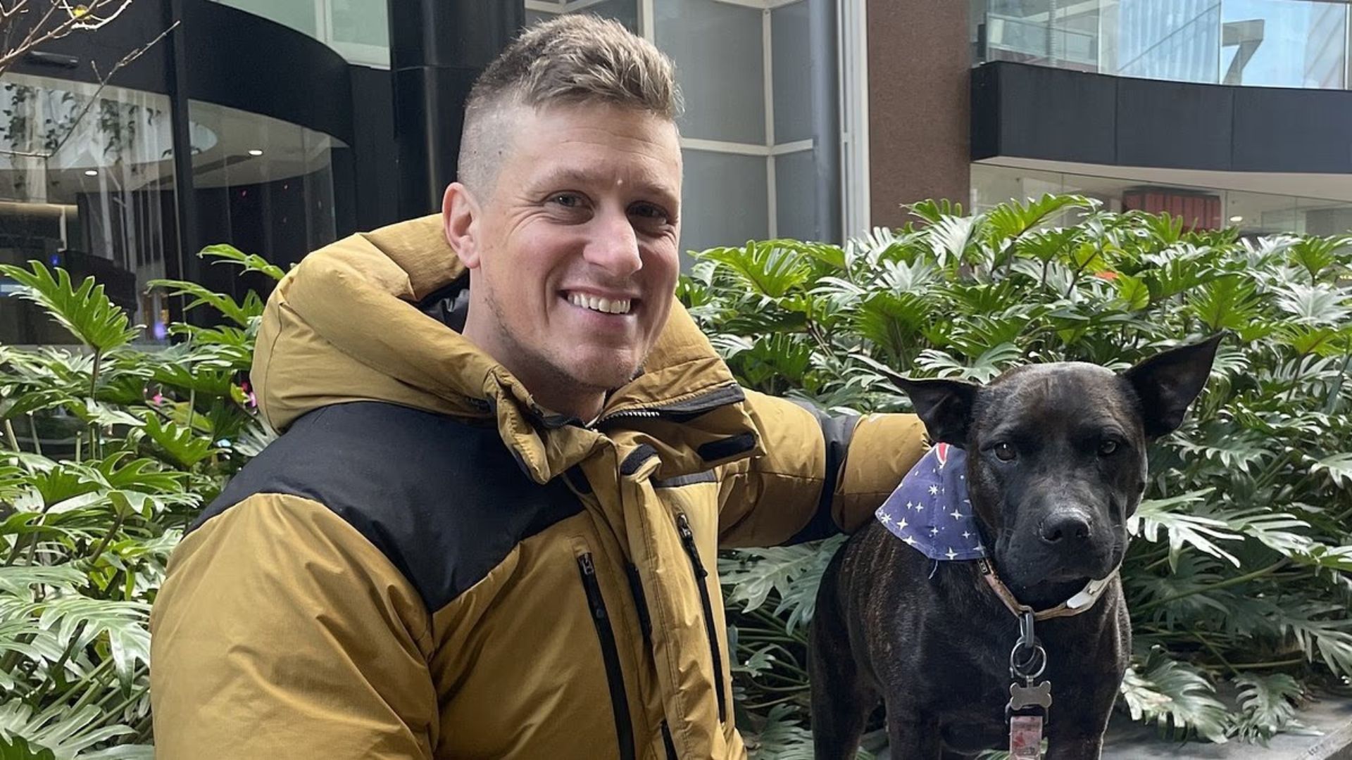 Australian tech guy uses AI to save his dog from cancer