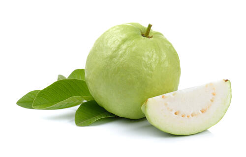 Sorry! Image not available at this time