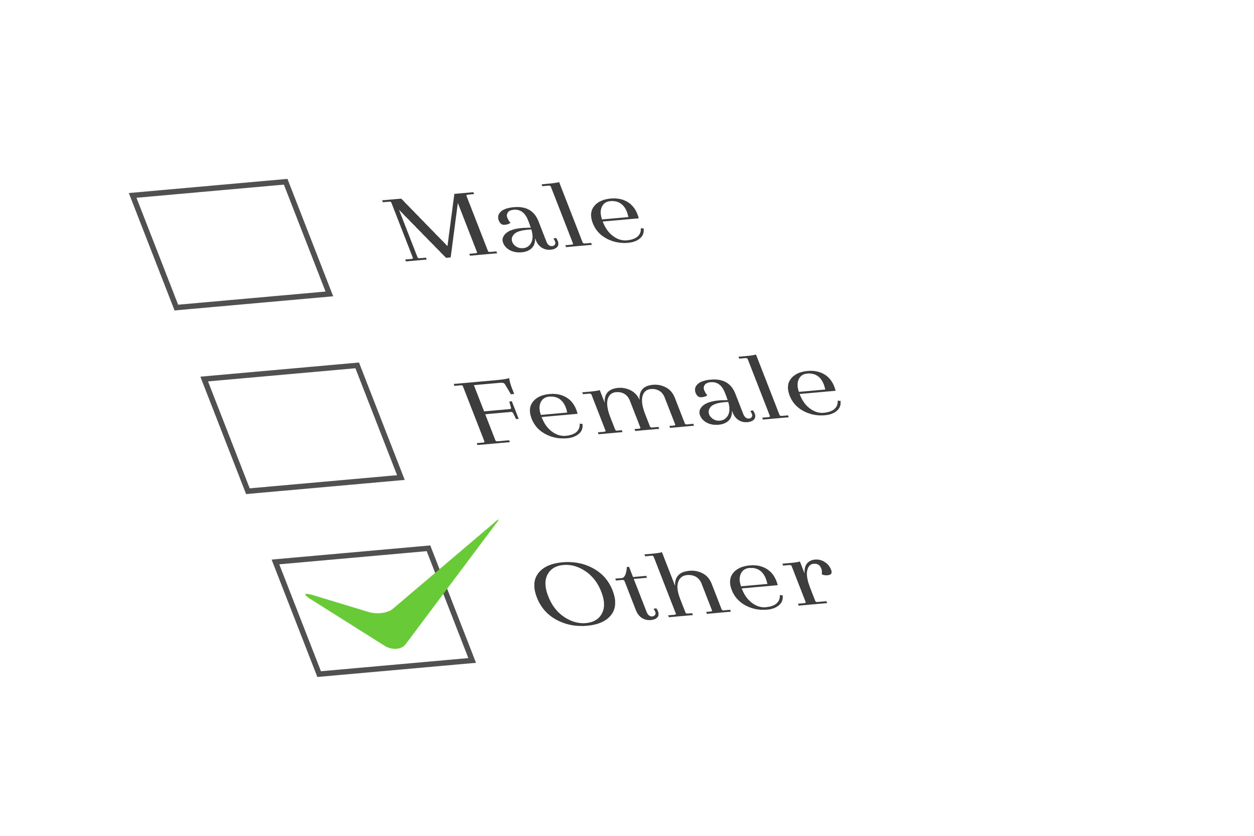 Maine To Launch Non binary Gender Option On Driver s Licenses maine-to-launch-non-binary-gender-option-on-driver-s-licenses