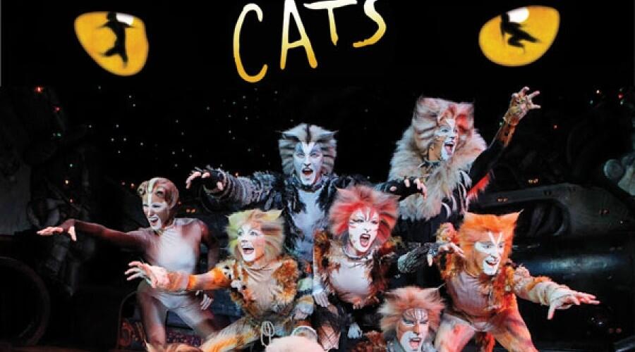 Can't pawsibly get any better 'Cats' to make Dubai debut Al Bawaba