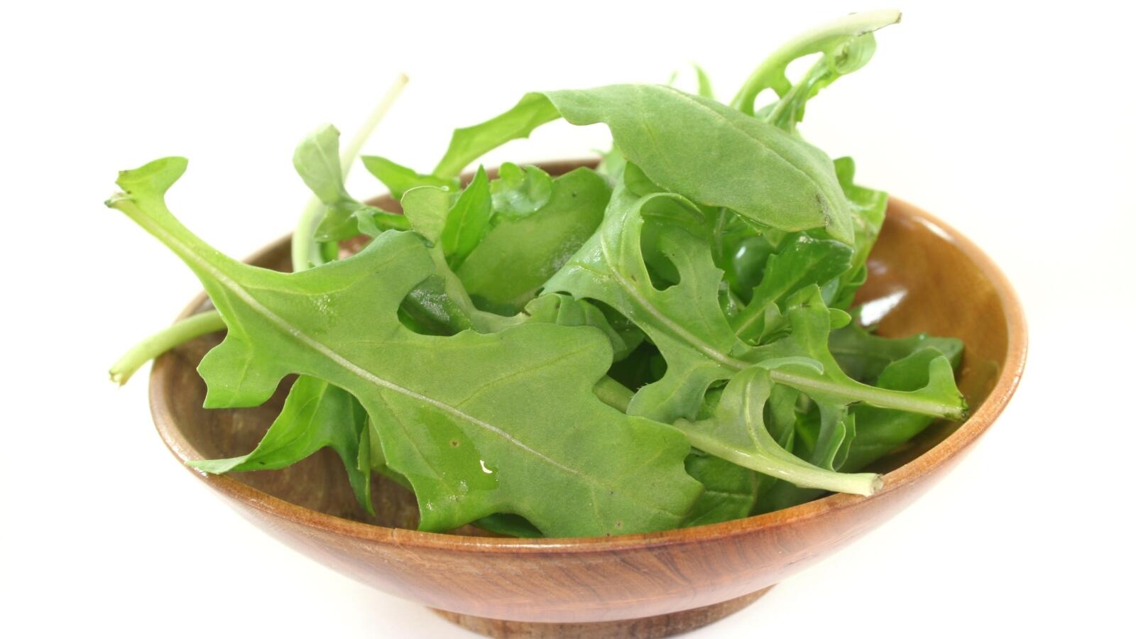 الجرجير الكنز الذي لا تعرفه جيد ا البوابة