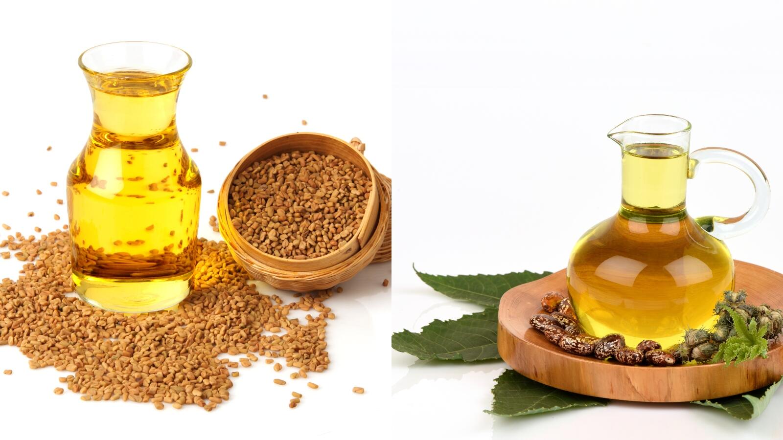 فوائد زيت الحلبة مع زيت الخروع البوابة