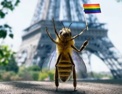Guess Who is Favorite on Instagram? Its a Bee