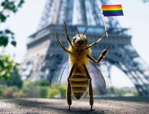 Guess Who is Favorite on Instagram? Its a Bee