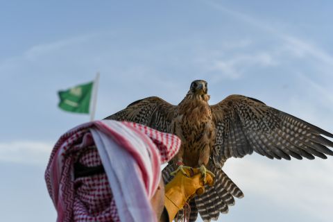 Six Winners Get $800,000 at Riyadh's Falcon Beauty Pageant