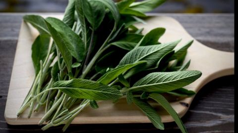 طبيب البوابة: ما الذي تعرفه عن الميرامية؟