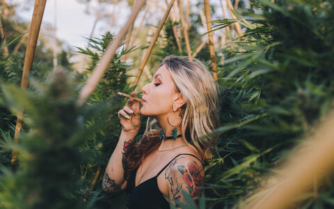People Who Smoke Hash Are Likely to Become Violent