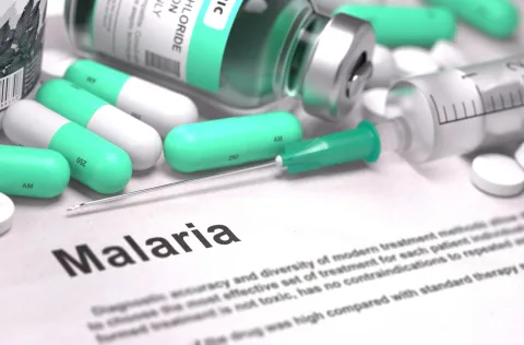 Will Climate Change Wipe out Malaria?