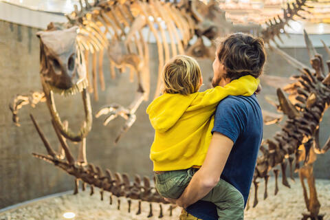 Erythrovenator: The 230-Million-Year-Old Pre-historic Beast is Unearthed in Brazil