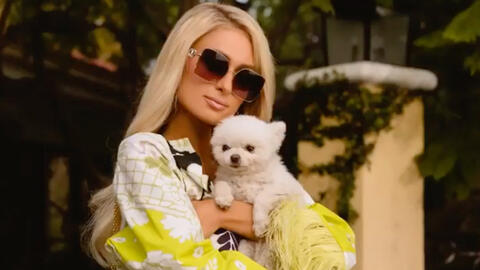 Paris Hilton Changes Longtime Goals of Being a Billionaire to Wanting Babies 