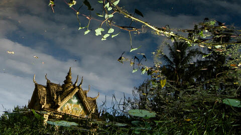 Growing Like A Tree Exhibit Opens at Ishara Art Foundation