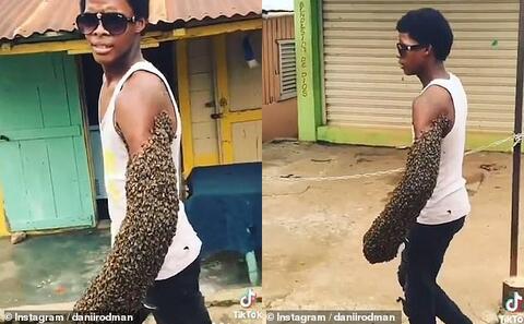 Guess Who is Favorite on Instagram? Its a Bee