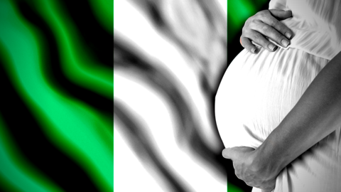 Nigeria's Police Mobilize All Resources to Take Back The Streets